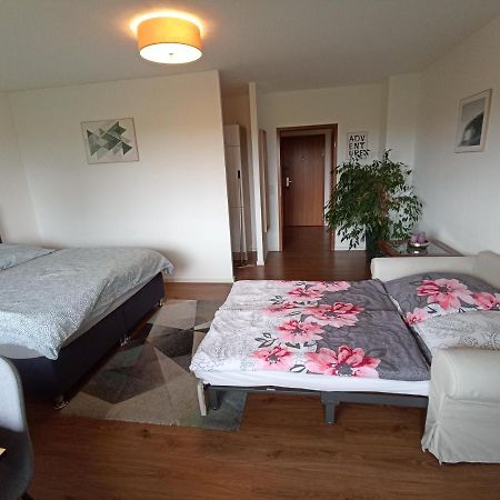 Exklusives Apartment Zw. Lu Und Speyer Mit Aufzug Neuhofen Exteriör bild